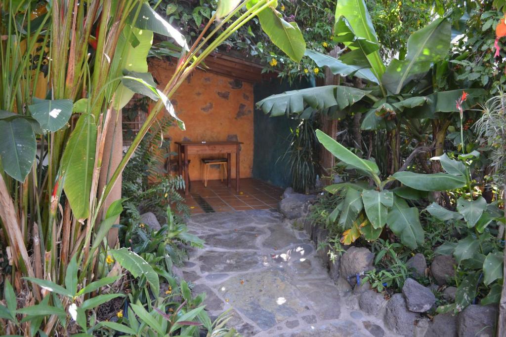 El Porvenir Albergue Los Llanos De Aridane Habitación foto